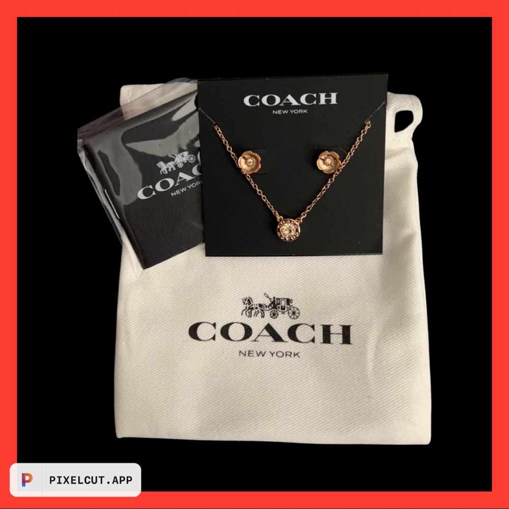 Coach necklace and earring set.